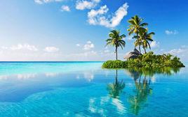 大橋鎮大莊村 大橋鎮大莊村