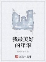 我最美好的年華 我最美好的年華