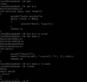 exec函式族 exec函式族