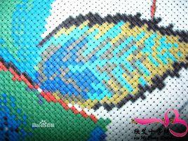 印在布上的十字繡 印在布上的十字繡