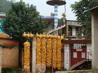 大墨雨村 大墨雨村