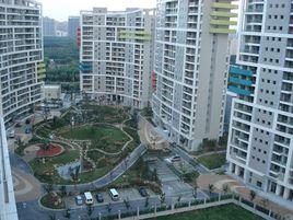 陸家嘴中央公寓 陸家嘴中央公寓