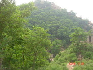 鄒城廣信科技開發有限責任公司 鄒城廣信科技開發有限責任公司