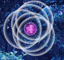 薔薇聖母 薔薇聖母