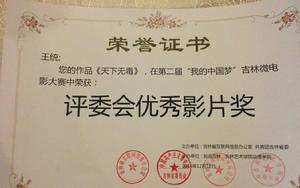 王統[中國新銳導演]