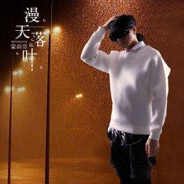 漫天落葉 漫天落葉