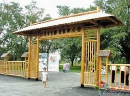 泰興市古銀杏森林公園 泰興市古銀杏森林公園