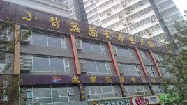 小背簍菌類養生火鍋 小背簍菌類養生火鍋