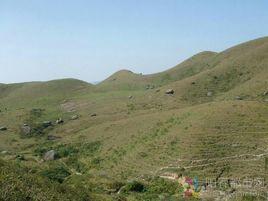 十二火灶頂 十二火灶頂