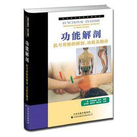 功能解剖 功能解剖