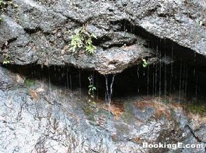 武夷山國家自然保護區