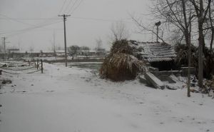 江蘇省連雲港市灌雲縣龍苴鎮竹墩村 江蘇省連雲港市灌雲縣龍苴鎮竹墩村