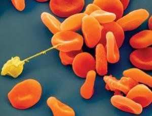 金球納米耳機 金球納米耳機