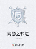 網遊之夢境 網遊之夢境