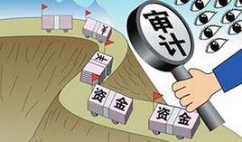 行業審計 行業審計