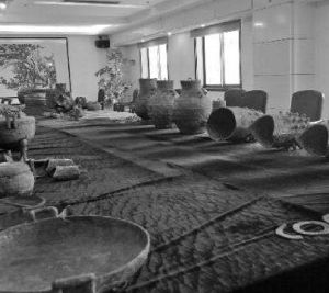 2·10大韓村特大盜墓案 2·10大韓村特大盜墓案