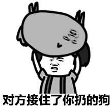 對方接住了你扔的狗 對方接住了你扔的狗
