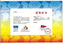 李曉菲[中國書畫院院士]