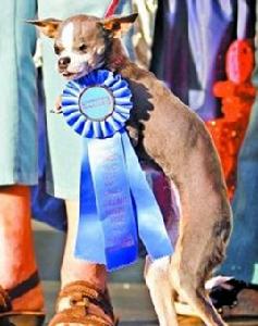 艾比公主 艾比公主