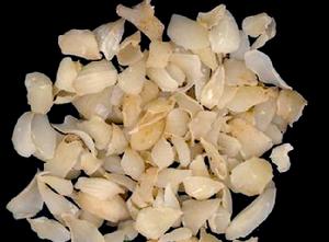 隆回龍牙百合 隆回龍牙百合