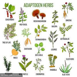 適應特性 適應特性