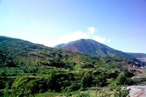 福星自然村 福星自然村