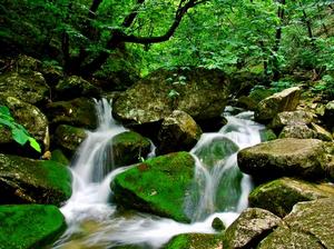 欒川旅遊產業集聚區 欒川旅遊產業集聚區