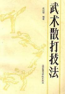 武術散打技法 武術散打技法