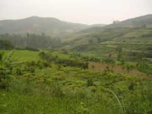 黑山腳自然村 黑山腳自然村