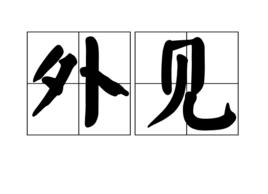 外見 外見
