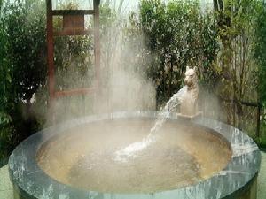 金鳳凰溫泉度假村