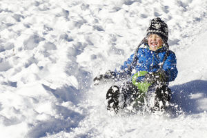 東方野獸 東方野獸