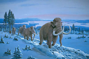 地球生物 地球生物