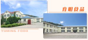 大連育明食品有限公司