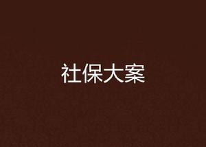 社保大案