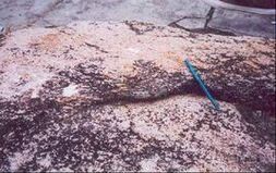 化學風化 化學風化