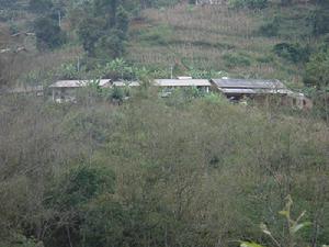 山茶樹自然村-村莊一角