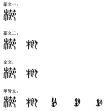 櫛漢字演變