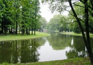 上海共青森林公園