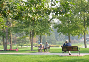 姚家園公園 姚家園公園