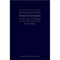 《維也納公約》