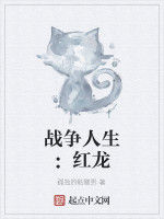 戰爭人生:紅龍 戰爭人生:紅龍