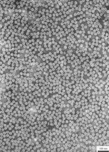 黃瓜花葉病毒屬