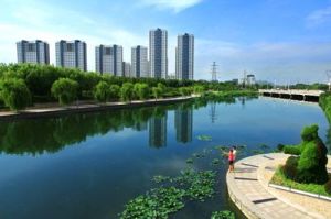 沙墩河公園 沙墩河公園