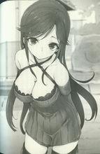 蜥蜴王[入間人間著作的輕小說]