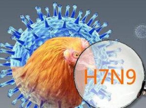 H7N9疫苗