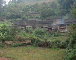 巴豆自然村 巴豆自然村