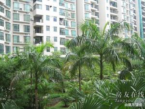 中聯頤華苑 中聯頤華苑