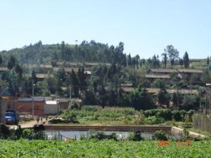 小石岩村 小石岩村