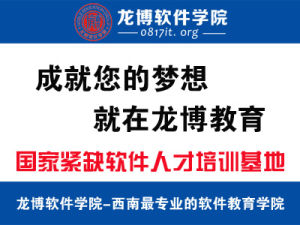 南充龍博軟體學院 南充龍博軟體學院